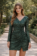 Cargar imagen en el visor de la galería, V551
