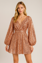 Cargar imagen en el visor de la galería, V146
