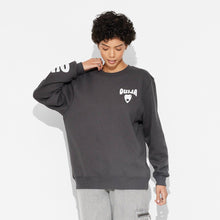 Cargar imagen en el visor de la galería, QW551
